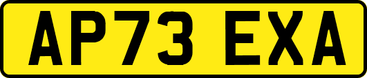 AP73EXA