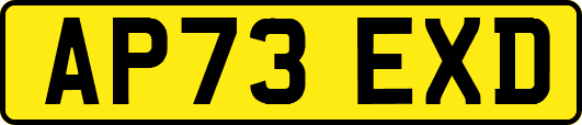 AP73EXD