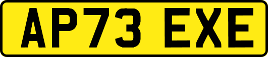 AP73EXE