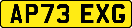AP73EXG