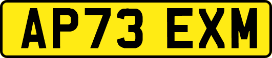 AP73EXM