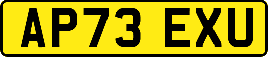 AP73EXU