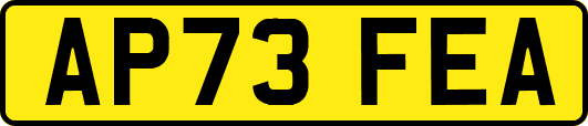 AP73FEA