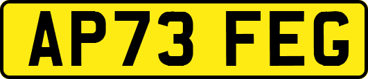 AP73FEG