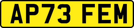AP73FEM
