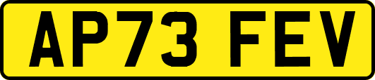 AP73FEV