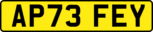 AP73FEY