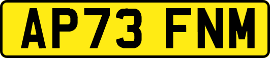 AP73FNM