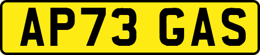 AP73GAS