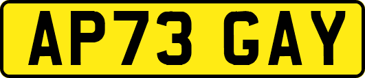 AP73GAY