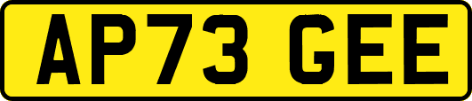 AP73GEE