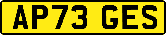 AP73GES