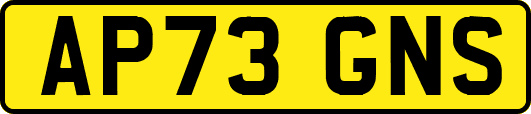 AP73GNS