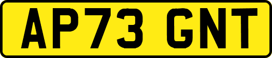 AP73GNT