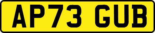 AP73GUB