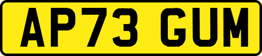 AP73GUM