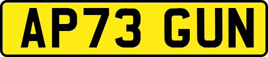 AP73GUN