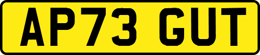 AP73GUT