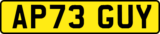 AP73GUY