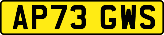 AP73GWS
