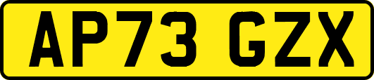 AP73GZX