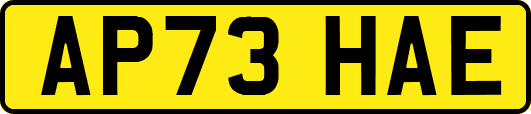 AP73HAE