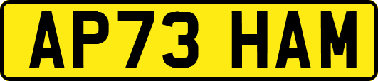 AP73HAM
