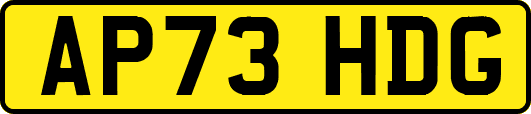AP73HDG