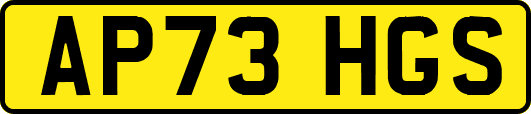 AP73HGS