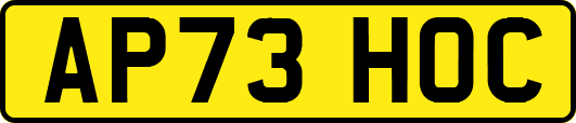 AP73HOC