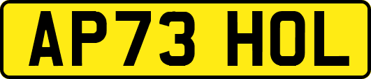 AP73HOL