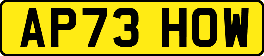 AP73HOW
