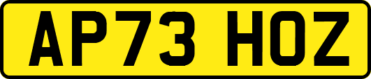 AP73HOZ