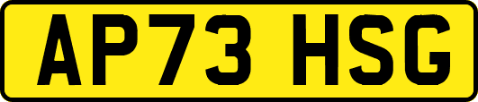 AP73HSG