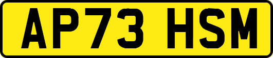 AP73HSM