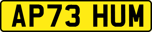 AP73HUM