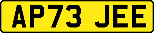 AP73JEE