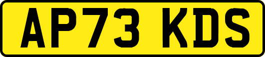 AP73KDS