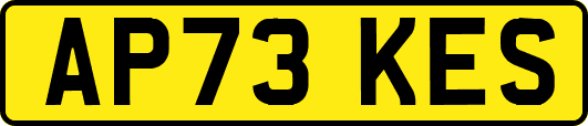 AP73KES
