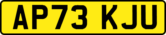 AP73KJU