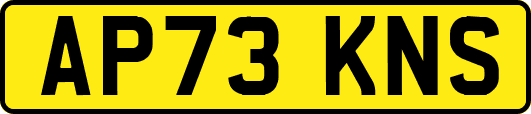 AP73KNS