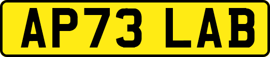 AP73LAB