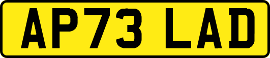 AP73LAD