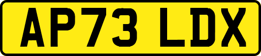 AP73LDX