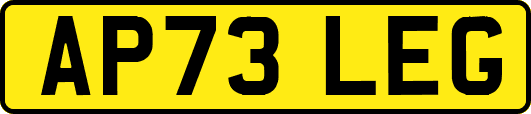 AP73LEG
