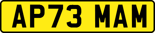 AP73MAM