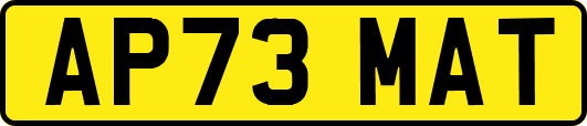AP73MAT