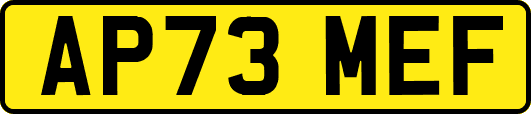 AP73MEF