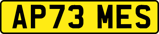 AP73MES