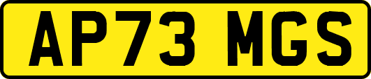 AP73MGS